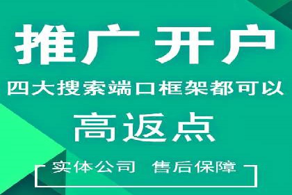 某行业SEM主管的优化策略与成果展示